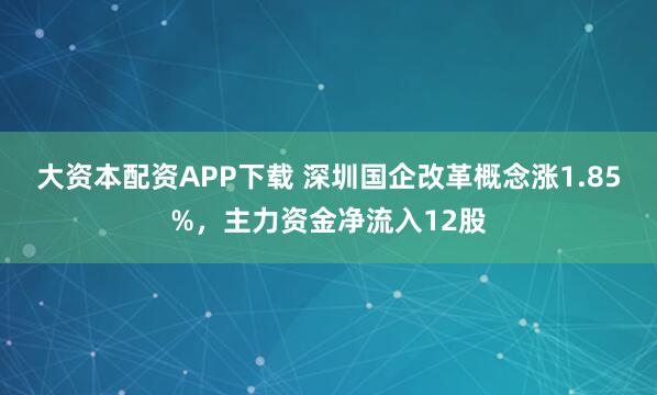 大资本配资APP下载 深圳国企改革概念涨1.85%，主力资金净流入12股