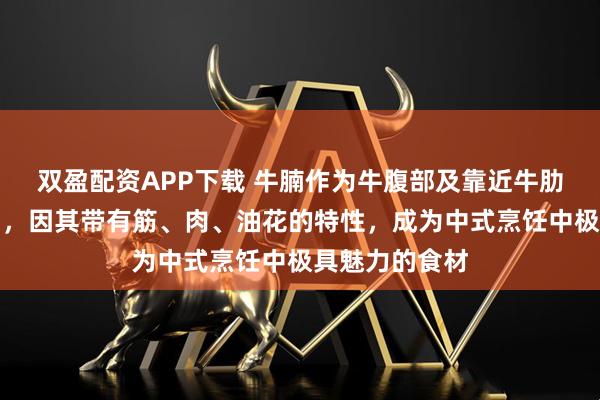 双盈配资APP下载 牛腩作为牛腹部及靠近牛肋处的松软肌肉，因其带有筋、肉、油花的特性，成为中式烹饪中极具魅力的食材