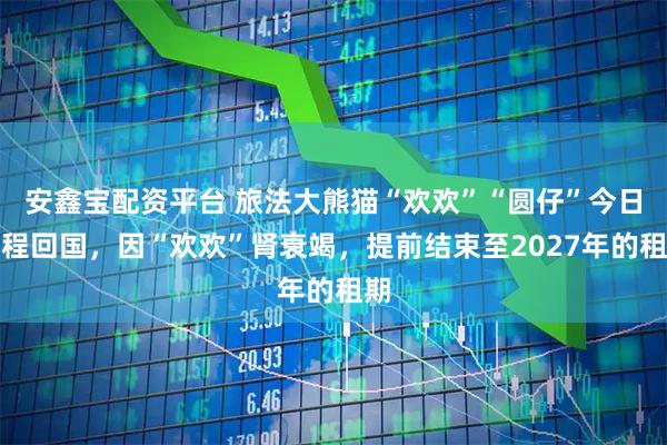 安鑫宝配资平台 旅法大熊猫“欢欢”“圆仔”今日启程回国，因“欢欢”肾衰竭，提前结束至2027年的租期