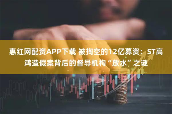 惠红网配资APP下载 被掏空的12亿募资：ST高鸿造假案背后的督导机构“放水”之谜