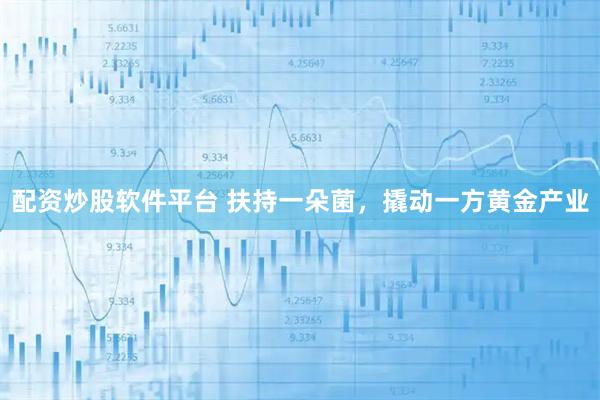 配资炒股软件平台 扶持一朵菌,撬动一方黄金产业